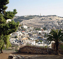 the city of david