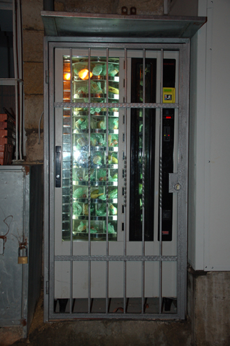 sandwich-dispensary